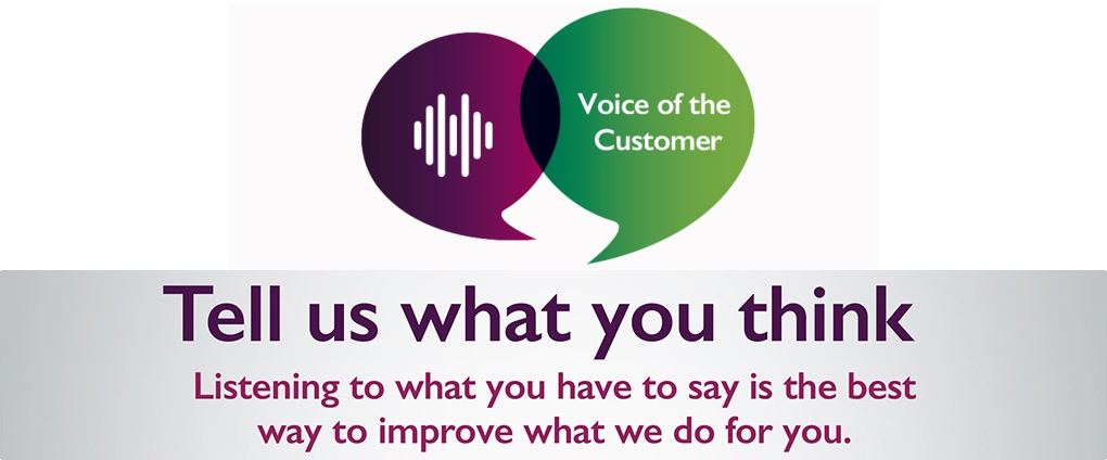 voice